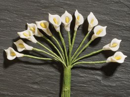 [DB] Flower Stems - 12 Calla Lilies