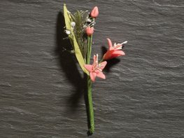 [DB] Flower Stems - Single Lily