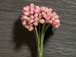 [DB] Bunch of Pink Flowers