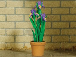 [DB] Potted Iris - Purple