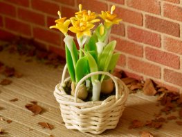 [DB] Daffodils in Wicker Planter