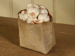 [DB] Brown Bag of Garlic