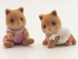 [SF] Slydale Honey Fox Twins (*)