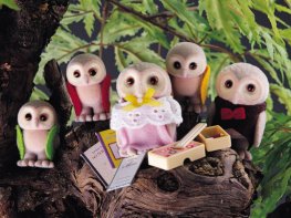 [SF] Plume Owl Family (*)